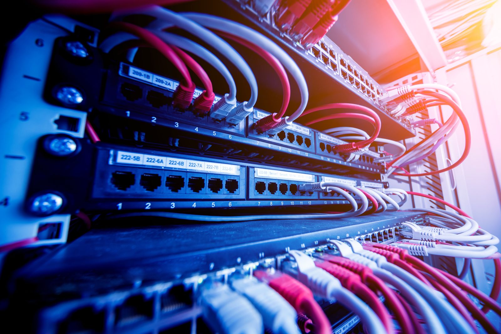 Network switch and ethernet cables in red and whit