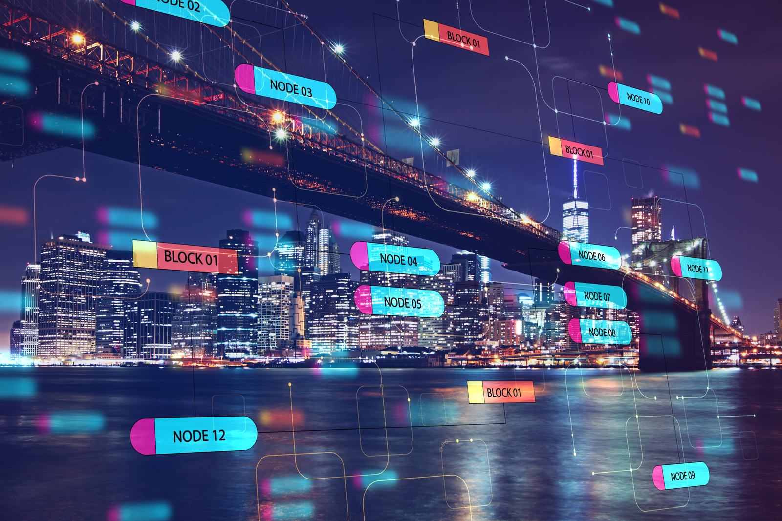 Programming and technology concept with digital no